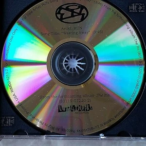 Wasting Away by Run Single Promo CD From The Itis Album Lunatic Works Records  - Imagen 1 de 2