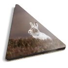 1x Triangle Coaster - Mountain Hare Rabbit Tundra #12622