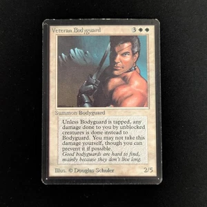MTG \\>> Guardaespaldas veteranos (LP) <<// Beta - 341 Trading - Magic - Imagen 1 de 6