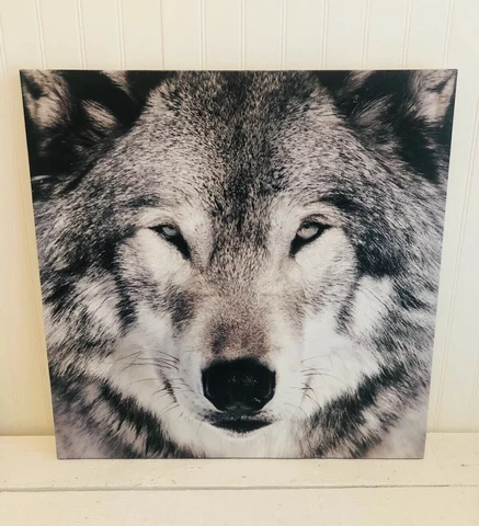 Great Wolf Lodge Wall Art Picture Nature 16” By 16” Animal Decor Cover