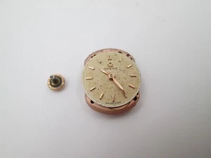 Máquina y esfera Omega mujer. Cuerda manual. Calibre 244. Dial dorado. 1970 - Imagen 1 de 5