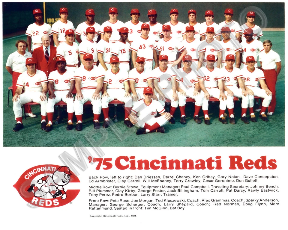 Cincinnati Reds 1975 Big Red Machine Campeones Serie Mundial 8x10 Equipo Foto Foto 1 de 1
