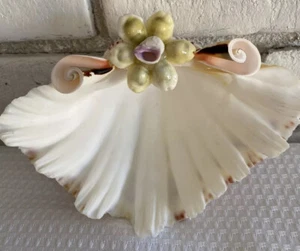  Muschel Seifenschale Schmuck Hergestellt in Philippinen Ozean Dekor 7" - Bild 1 von 10