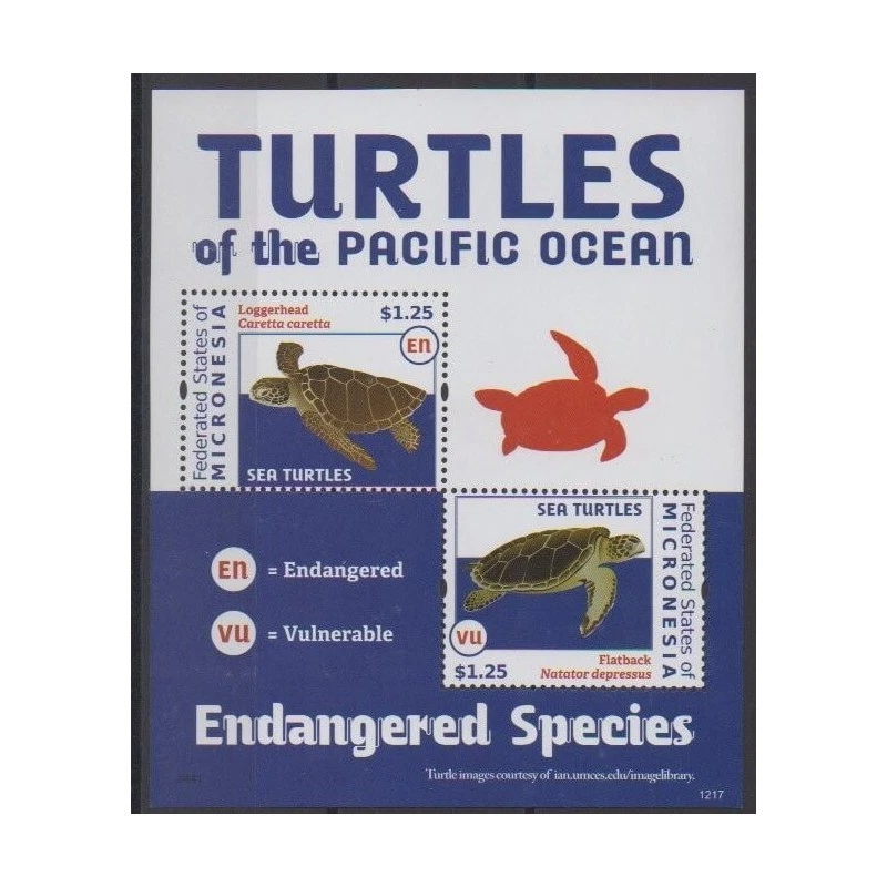 Micronésie - 2012 - No BF212 - Tortues - Photo 1/1