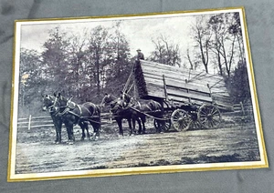 C.1900 Fotokarte 4 Pferd HOLZWAGEN, Dutzende von Brettern, Mann auf Brettern! - Bild 1 von 5