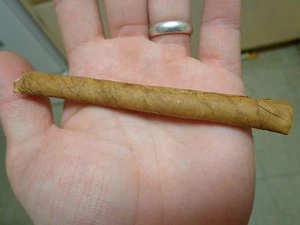 Long Red Tobacco Seed - Cigar Variety - 1,000+ Seeds - Heirloom & Organic - Picture 1 of 8