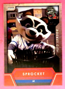 2025 Choice, Rocket City Trash Pandas, Mascot - SPROCKET - Picture 1 of 1