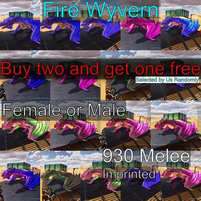 MY ARK ASCENDED Ark Survival Ascended Pve Fire Wyvern - 930Dmg Imprinted Dragon