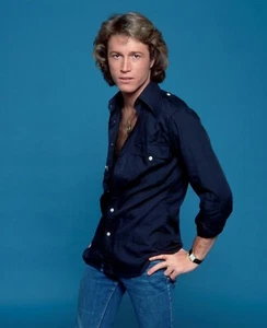 Andy Gibb 11.7x16.5 Glossy Photo Poster - Picture 1 of 1