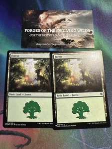 Forest Jumpstart x4 4x 4 076 The List Everyone's Invited Secret Lair - Picture 1 of 1