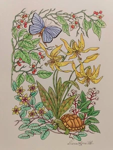 Forellenlilien & Tailed Arophala. Pen, Tusche & Conte Original Zeichnung - Bild 1 von 1
