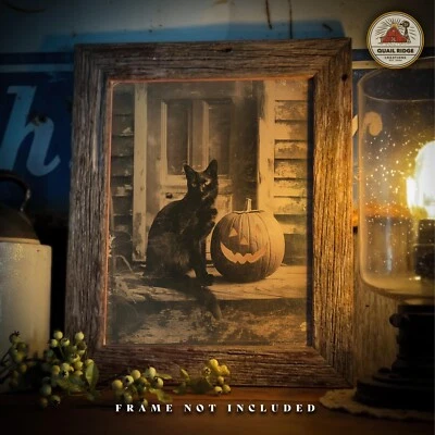 Impresión artística vintage de fotografía de gato negro Jack O Lantern decoración de obras de arte de Halloween Foto 1 de 4