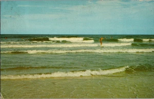 Postcard Surfing Along Atlantic Coast Maryland or Delaware Chrome Posted 1975 - Bild 1 von 3