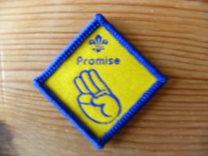 UK Scouting Discontinued Beaver Scout Challenge Award Promise - Picture 1 of 1