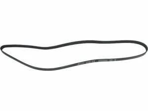 For 1996, 1998-2005 Audi A4 Quattro Multi Rib Belt API 78629JK 1999 2000 2001 - Picture 1 of 2