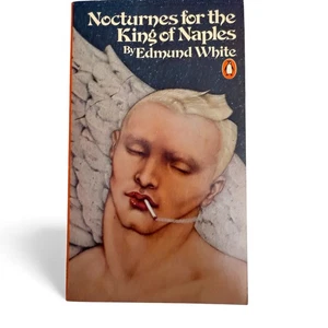 Nocturnes for the King of Naples Edmund White Penguin Vintage LGBTQ Fiction 1980 - Imagen 1 de 5