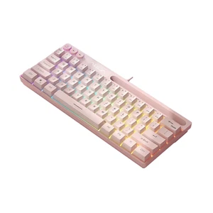 AULA F3061 Mechanical 61 Key Mini Keyboard RGB Backlight Gaming Wired - Picture 1 of 10