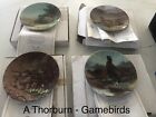 Archibald Thorburn Magnificent Gamebirds Plates
