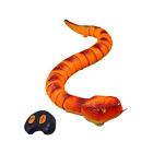 Remote Control Snake Toy Realistic Snake Crawling Animal for Pet Toys Tricks