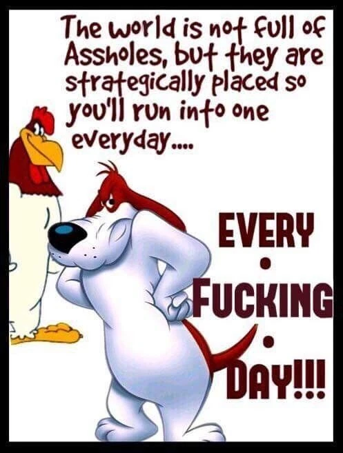 2 PACK RAT ROD HOT ROD CHOPPER MOTORCYCLE RAT FINK STICKER VINTAG RACING  FUNNY - Image 1 of 1