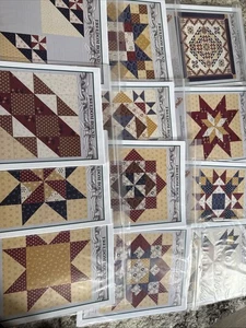 Juego de patrón de edredón Freedom Bound bloque del mes 12 meses 97"x97" - Imagen 1 de 8