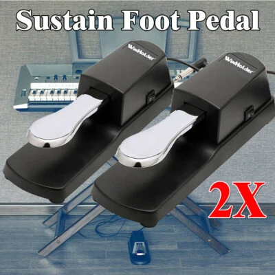 WINHOLDER 2PCS Sustain Pedal Keyboard Foot Damper Pedal Footswitch For Casio Yamaha UK