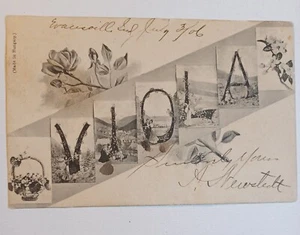 Names " Viola" 1907 Oscar Darwin D. Silberer & Bros. Antique Postcard - Picture 1 of 3
