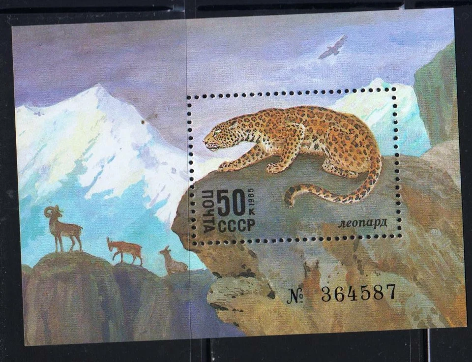 Russia 1985 Mi.#Bl.185a Protected animals Leopard souv/sheet 1 stamp - Image 1 of 1