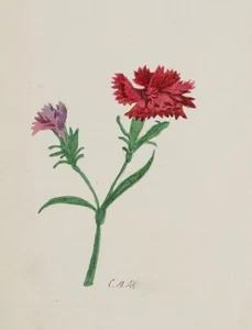 Monograma CBH (siglo XIX), claveles en flor, flores Gouache Biedermeier 1800-1849 - Imagen 1 de 5