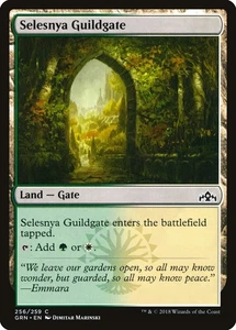 Selesnya Guildgate #256 2x FOIL GRN MTG Guilds of Ravnica Common MINT land - Picture 1 of 1