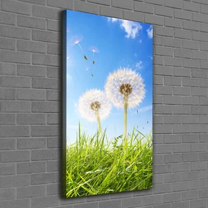 Leinwand-Bild Kunstdruck Hochformat 60x120 Bilder Löwenzahn Wiese - Bild 1 von 6