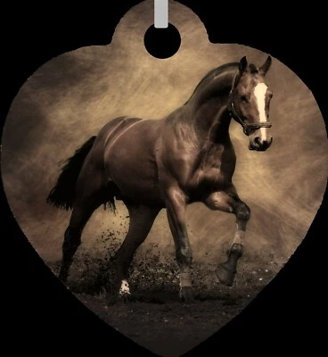 Collar Corazón Metal Doble Cara Occidental Caballo Semental Joyería de Moda NUEVO Foto 1 de 2