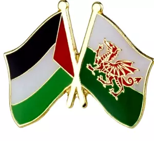 Palestine Wales Badge Flag Pin Welsh Palestinian - Picture 1 of 1