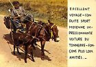 Br43930 voyage con duite sport donkey ane animaux animals