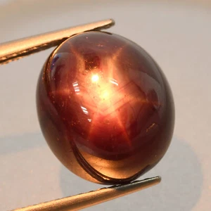 7,84 Cts 11 MM 6 Raggi Stella Rossa Rubino Cabochon Pietra Preziosa Naturale Sciolta Africa - Foto 1 di 3