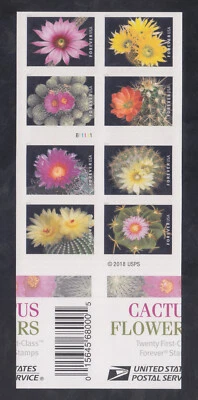 US Stamp #5350-59 Cactus Booklet, Miscut, Imperf Between Outer Margins XF NH - Image 1 of 2