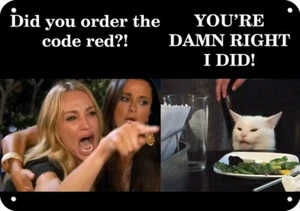 WOMAN YELLING AT CAT MEME Did You Order The Code Red? *Or Say Anything You Want* - Picture 1 of 1