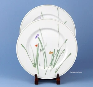 Mikasa SKETCH BOOK, Set/s of 2 Dinner Plates, Excellent Condition, L9175 - Picture 1 of 3
