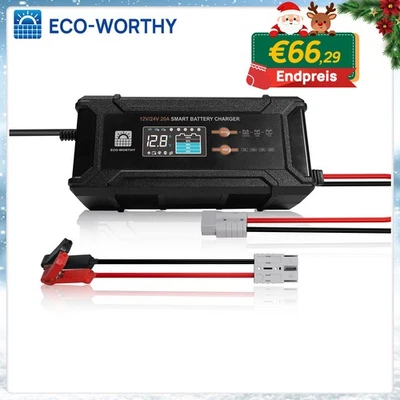 ECO-WORTHY Batterie Ladegerät 12V/24V 5-20AAuto Für LiFePO4 Blei-Säure Motorrad