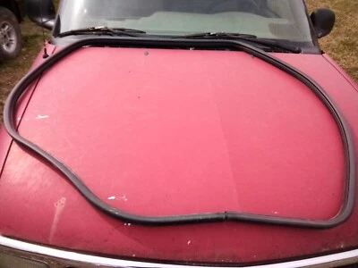 Dodge Durango Pass 1998-2002 sello de puerta trasera lateral/tira climática usada pieza OEM Foto 1 de 2