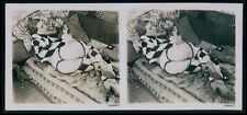 Biederer Stereoview photo stereo card nude woman original 1920s d03