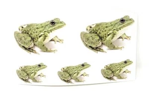 FROG Removable Fabric Vinyl Decal Sticker Set of 5 - 2 Sizes for Window Mirror - Picture 1 of 2