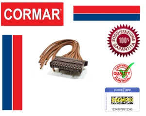 Kit Connettore ORIGINALE 12 vie Marrone Body Computer Centralina Smart CABLATO - Imagen 1 de 8