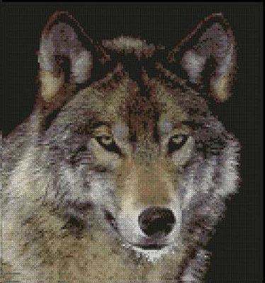 Wolf 3 Complete Counted Cross Stitch Kit 10.5" x 10" - Image 1 of 4