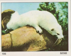 Topseller Karte - Tiere der Welt - Karte Nr 106 - Nerz - Bild 1 von 2