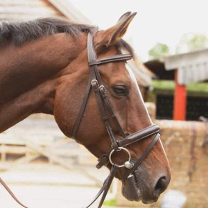 KM Elite Competition Bridle - Picture 1 of 4