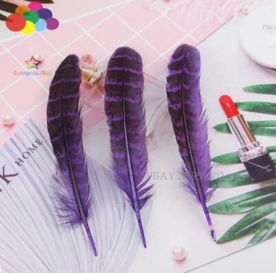 11 color Beautiful Natural Hen Pheasant Wing Feathers plumas faisan colores view - Image 1 of 4