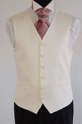 Men's and Boy's Waistcoats In Ivory, Ideal For Weddings, Special Occasions, Prom - Image 1 of 2