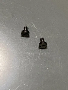 Audemars Piguet Royal Oak Bezel Screws Set Of 2 - Picture 1 of 3