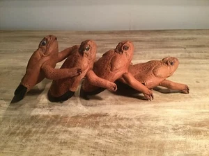 1 Stunning Cane Toad Skin full body Zip Up Coin Purse Australian made Exotic - Picture 1 of 12